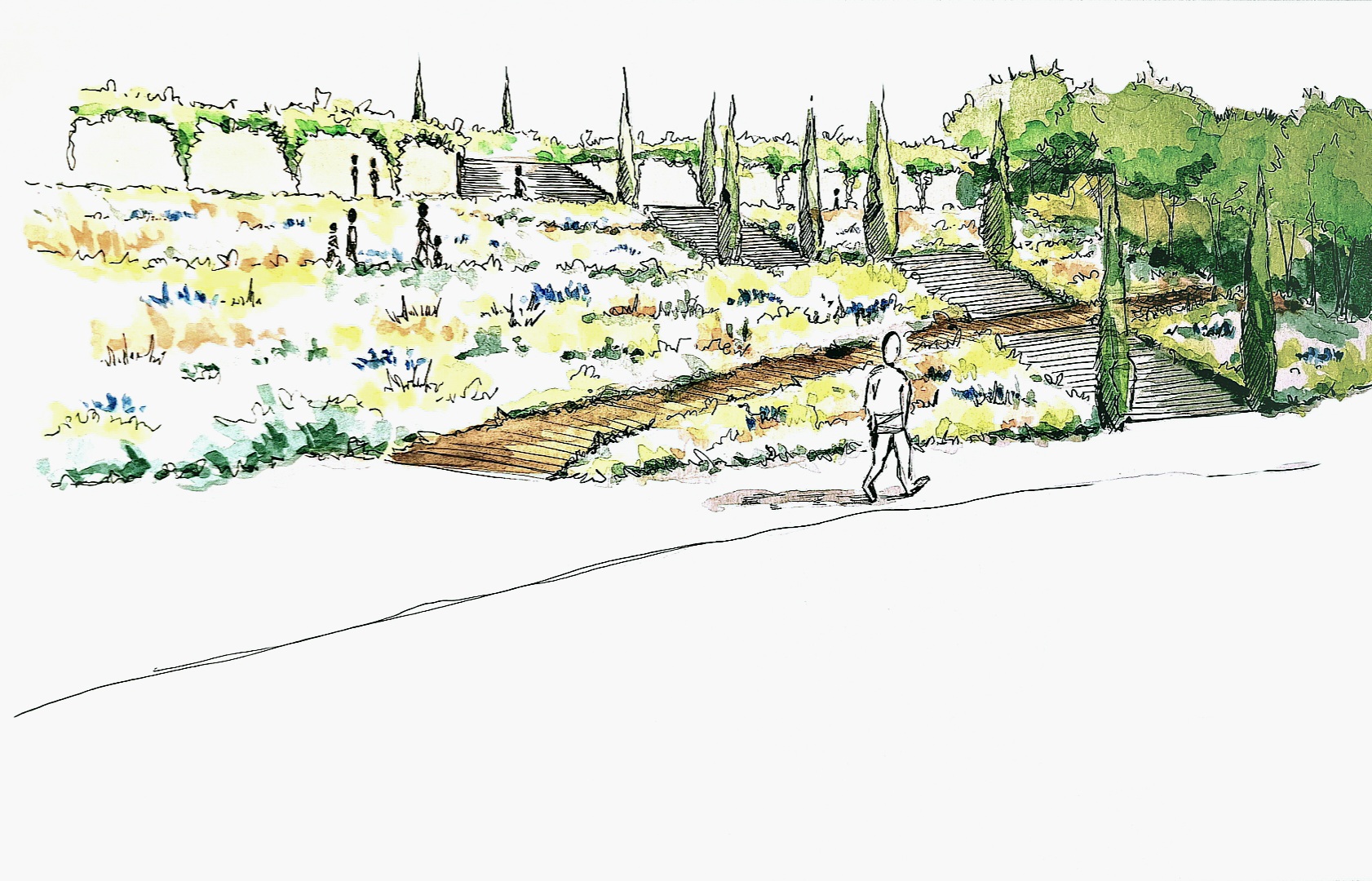 dessin à l'aquarelle- MT concepteur paysagiste