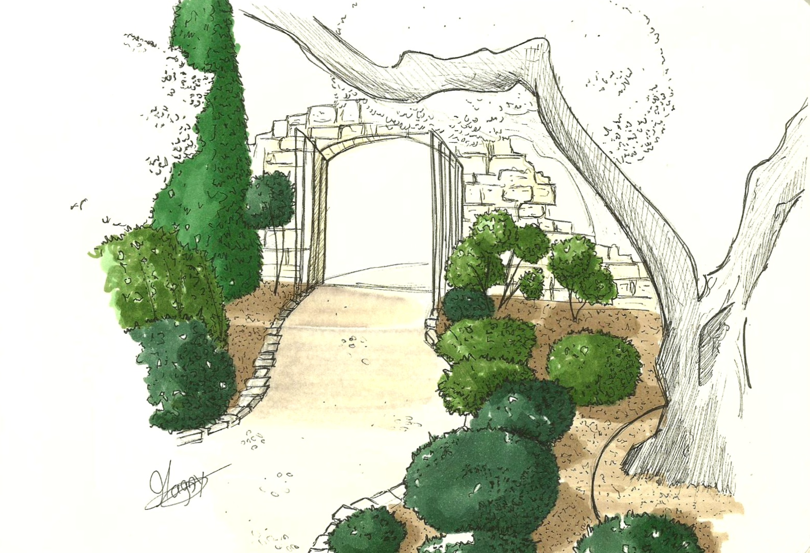 dessin aux feutres à alcool- MT concepteur paysagiste