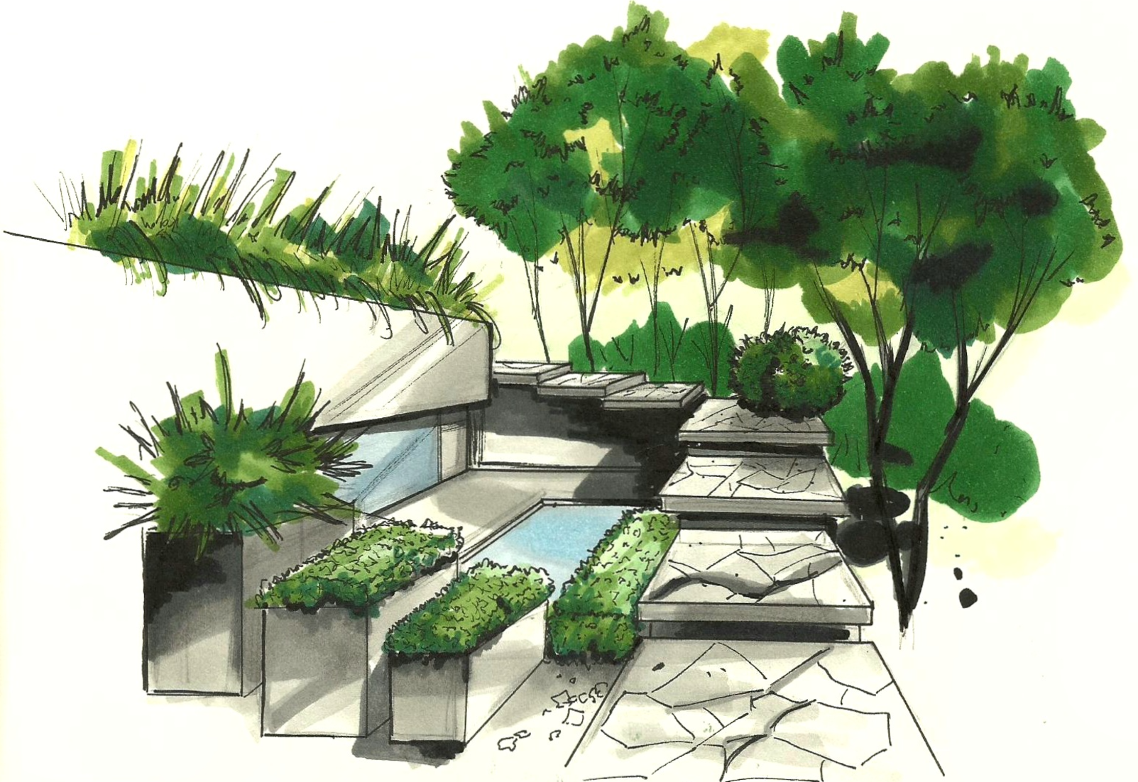dessin aux feutres à alcool- MT concepteur paysagiste