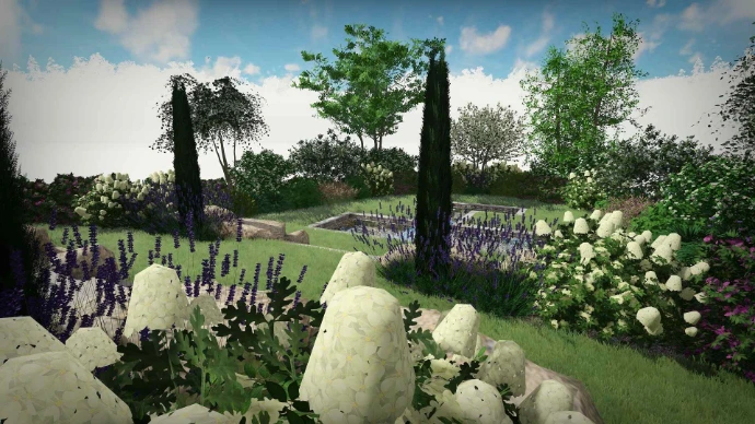 hortensia et cyprès- MT concepteur paysagiste