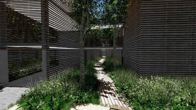 alignements bouleaux- MT concepteur paysagiste