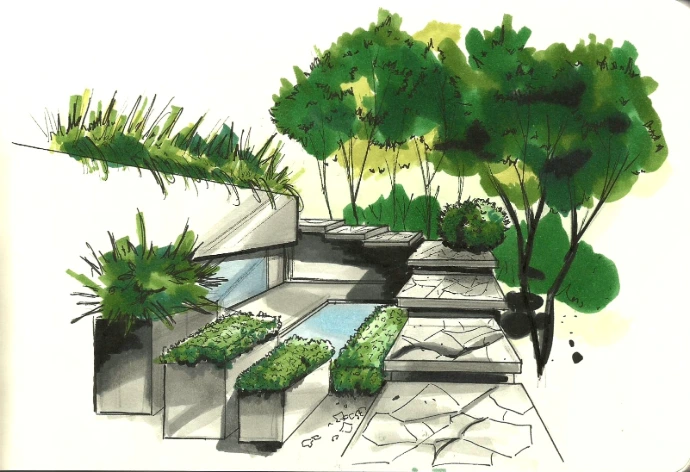 dessin aux feutres à alcool- MT concepteur paysagiste