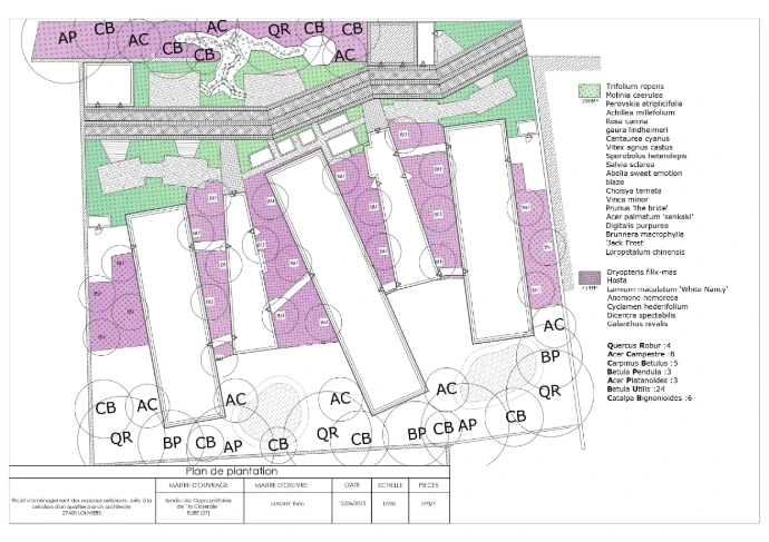 illustration plan de plantation - MT concepteur paysagiste