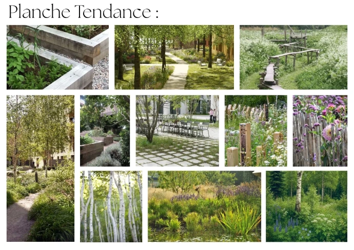 illustration palette d'ambiance - MT concepteur paysagiste